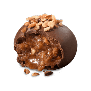 Praline Chocolate Truffle