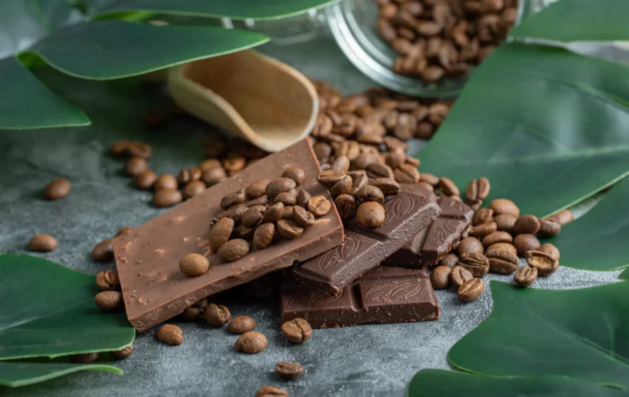 1-great-chocolate-ingredient-a-professionals-guide 1-great-chocolate-ingredient-a-professionals-guide