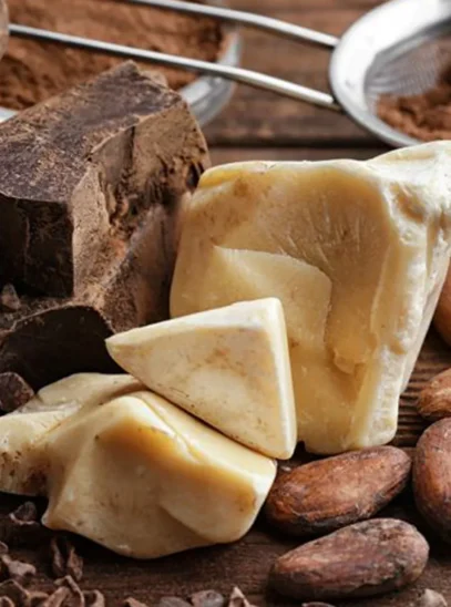 4-cocoa-mass-cocoa-butter-and-cocoa-powder