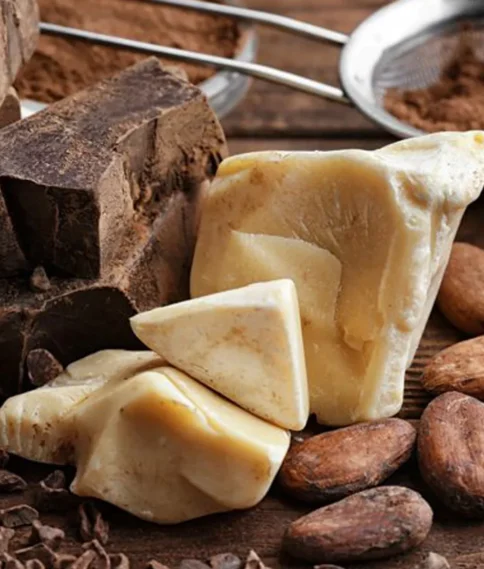 4-cocoa-mass-cocoa-butter-and-cocoa-powder