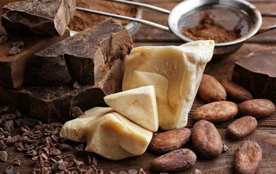 4-cocoa-mass-cocoa-butter-and-cocoa-powder 4-cocoa-mass-cocoa-butter-and-cocoa-powder