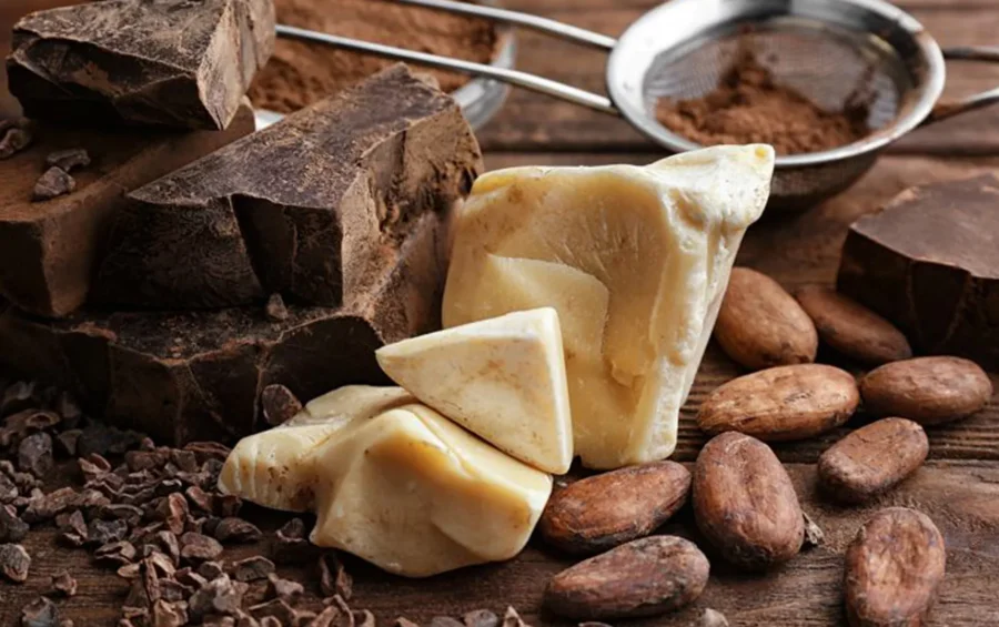 4-cocoa-mass-cocoa-butter-and-cocoa-powder