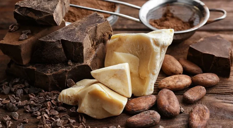 4-cocoa-mass-cocoa-butter-and-cocoa-powder